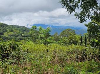 VENTA DE DOS LOTES, SAN JOSE, MORA, PICAGRES