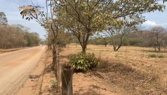 Lot in Avellanas Beach, Guanacaste