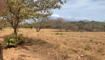 Lot in Avellanas Beach, Guanacaste