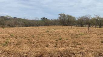 Lot in Avellanas Beach, Guanacaste