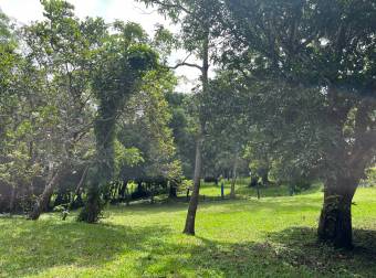 Quinta con casa en buen estado 