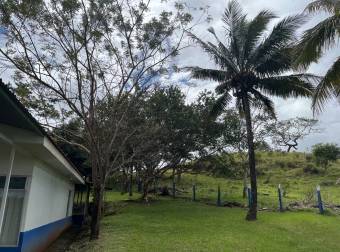 Quinta con casa en buen estado 