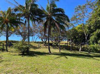 Quinta con casa en buen estado 