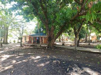 Lot with house to renovate, perfect for investment