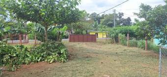 MLS-25-1700 VENTA CASA HORQUETAS SARAPIQUI