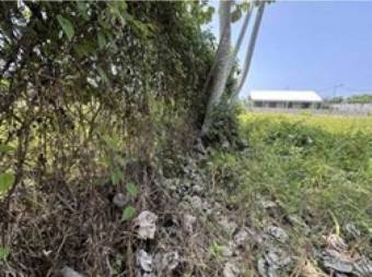 LOT FOR SALE, PUNTARENAS, PARRITA - 9462526