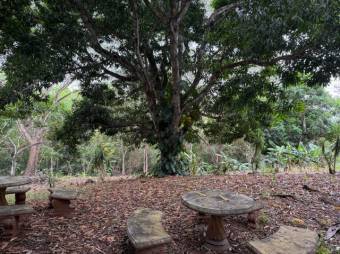Se vende finca de 6.4 hectáreas en Orotina de Alajuela 25-1427