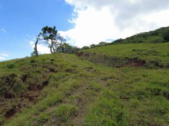 Se vende amplia finca de 26 hectáreas en Ciudad Colon 23-3180