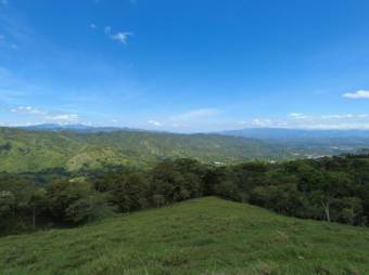 Se vende amplia finca de 26 hectáreas en Ciudad Colon 23-3180