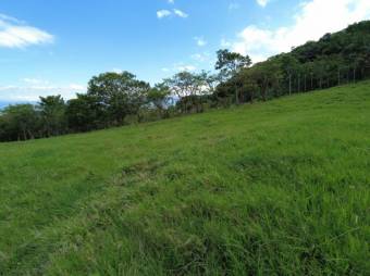 Se vende amplia finca de 26 hectáreas en Ciudad Colon 23-3180