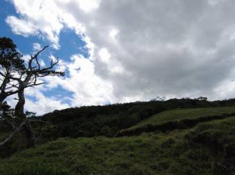 Se vende amplia finca de 26 hectáreas en Ciudad Colon 23-3180