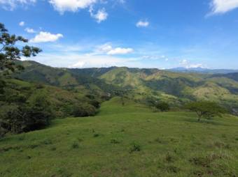 Se vende amplia finca de 26 hectáreas en Ciudad Colon 23-3180