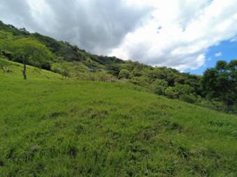 Se vende amplia finca de 26 hectáreas en Ciudad Colon 23-3180