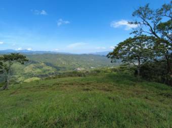 Se vende amplia finca de 26 hectáreas en Ciudad Colon 23-3180