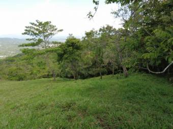 Se vende amplia finca de 26 hectáreas en Ciudad Colon 23-3180