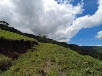 Se vende amplia finca de 26 hectáreas en Ciudad Colon 23-3180