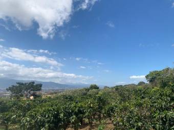 Se vende finca cafetalera de 18 hectáreas en Concepción de Heredia 25-1394