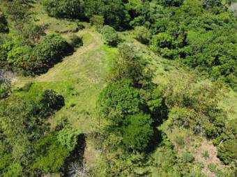 Se vende amplia finca de 36 hectáreas en Ciudad Colon 25-1322