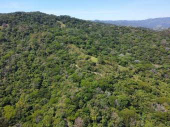 Se vende amplia finca de 36 hectáreas en Ciudad Colon 25-1322