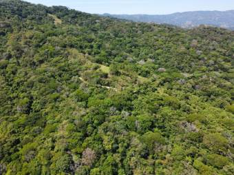 Se vende amplia finca de 36 hectáreas en Ciudad Colon 25-1322