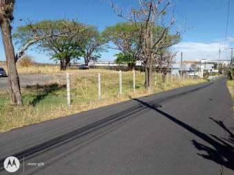 Se vende lote de 8,103m2 en Santa Ana 26-387