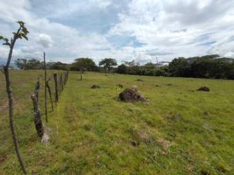 Se vende lote plano de 5.7 hectáreas en la Garita Alajuela 23-411