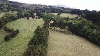 Se vende amplia finca de 28 hectáreas en San José de la Montaña 23-2563