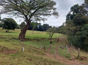 Se vende amplia finca de 28 hectáreas en San José de la Montaña 23-2563