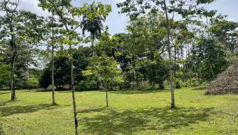 VENTA DE TERRENO l GUACIMO l LIMON l PRECIO NEGOCIABLE. VENTA DE TERRENO l GUACIMO l LIMON l PRECIO NEGOCIABLE.