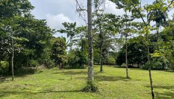 VENTA DE TERRENO l GUACIMO l LIMON l PRECIO NEGOCIABLE. VENTA DE TERRENO l GUACIMO l LIMON l PRECIO NEGOCIABLE.