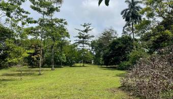 VENTA DE TERRENO l GUACIMO l LIMON l PRECIO NEGOCIABLE. VENTA DE TERRENO l GUACIMO l LIMON l PRECIO NEGOCIABLE.