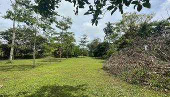 VENTA DE TERRENO l GUACIMO l LIMON l PRECIO NEGOCIABLE. VENTA DE TERRENO l GUACIMO l LIMON l PRECIO NEGOCIABLE.