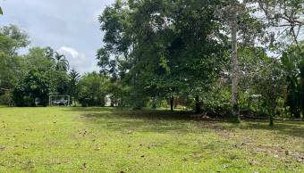 VENTA DE TERRENO l GUACIMO l LIMON l PRECIO NEGOCIABLE. VENTA DE TERRENO l GUACIMO l LIMON l PRECIO NEGOCIABLE.