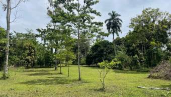 VENTA DE TERRENO l GUACIMO l LIMON l PRECIO NEGOCIABLE. VENTA DE TERRENO l GUACIMO l LIMON l PRECIO NEGOCIABLE.