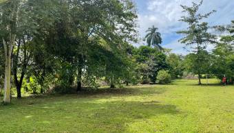 VENTA DE TERRENO l GUACIMO l LIMON l PRECIO NEGOCIABLE. VENTA DE TERRENO l GUACIMO l LIMON l PRECIO NEGOCIABLE.