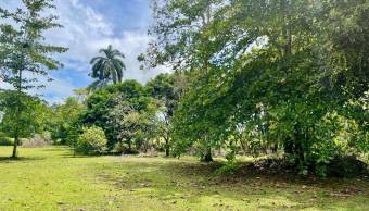 VENTA DE TERRENO l GUACIMO l LIMON l PRECIO NEGOCIABLE. VENTA DE TERRENO l GUACIMO l LIMON l PRECIO NEGOCIABLE.