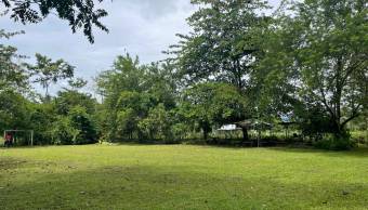 VENTA DE TERRENO l GUACIMO l LIMON l PRECIO NEGOCIABLE. VENTA DE TERRENO l GUACIMO l LIMON l PRECIO NEGOCIABLE.