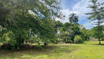 VENTA DE TERRENO l GUACIMO l LIMON l PRECIO NEGOCIABLE. VENTA DE TERRENO l GUACIMO l LIMON l PRECIO NEGOCIABLE.