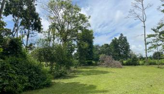 VENTA DE TERRENO l GUACIMO l LIMON l PRECIO NEGOCIABLE. VENTA DE TERRENO l GUACIMO l LIMON l PRECIO NEGOCIABLE.