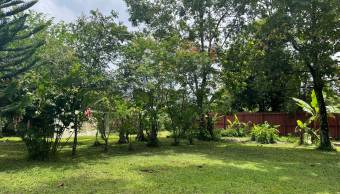 VENTA DE TERRENO l GUACIMO l LIMON l PRECIO NEGOCIABLE. VENTA DE TERRENO l GUACIMO l LIMON l PRECIO NEGOCIABLE.