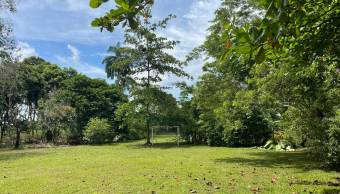 VENTA DE TERRENO l GUACIMO l LIMON l PRECIO NEGOCIABLE. VENTA DE TERRENO l GUACIMO l LIMON l PRECIO NEGOCIABLE.