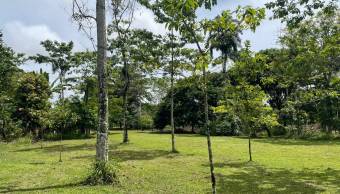 VENTA DE TERRENO l GUACIMO l LIMON l PRECIO NEGOCIABLE. VENTA DE TERRENO l GUACIMO l LIMON l PRECIO NEGOCIABLE.