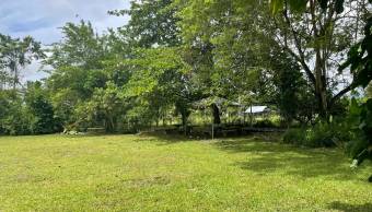 VENTA DE TERRENO l GUACIMO l LIMON l PRECIO NEGOCIABLE. VENTA DE TERRENO l GUACIMO l LIMON l PRECIO NEGOCIABLE.