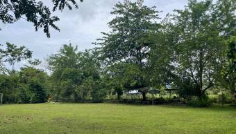 VENTA DE TERRENO l GUACIMO l LIMON l PRECIO NEGOCIABLE. VENTA DE TERRENO l GUACIMO l LIMON l PRECIO NEGOCIABLE.