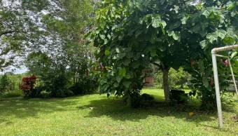 VENTA DE TERRENO l GUACIMO l LIMON l PRECIO NEGOCIABLE. VENTA DE TERRENO l GUACIMO l LIMON l PRECIO NEGOCIABLE.