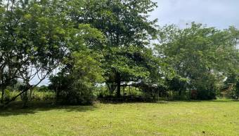 VENTA DE TERRENO l GUACIMO l LIMON l PRECIO NEGOCIABLE. VENTA DE TERRENO l GUACIMO l LIMON l PRECIO NEGOCIABLE.