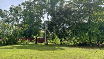 VENTA DE TERRENO l GUACIMO l LIMON l PRECIO NEGOCIABLE. VENTA DE TERRENO l GUACIMO l LIMON l PRECIO NEGOCIABLE.