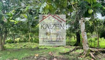 VENTA DE TERRENO l GUACIMO l LIMON l PRECIO NEGOCIABLE.