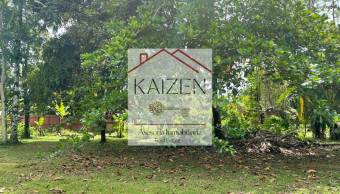 VENTA DE TERRENO l GUACIMO l LIMON l PRECIO NEGOCIABLE. VENTA DE TERRENO l GUACIMO l LIMON l PRECIO NEGOCIABLE.