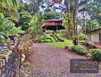 MIXED-USE LAND PROPERTY GUAPILES OF POCOCI, LIMON #70201eb